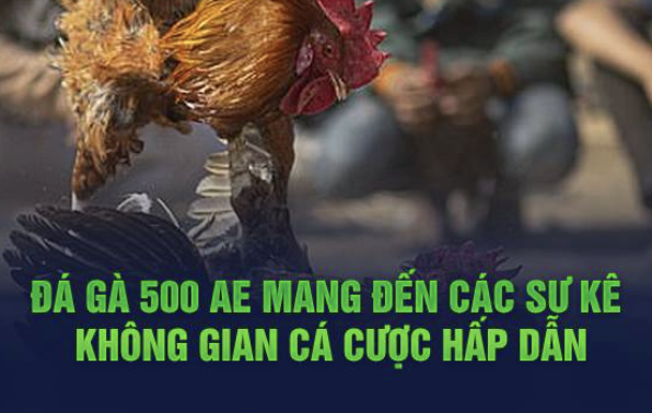 Đôi nét về đá gà 500AE 