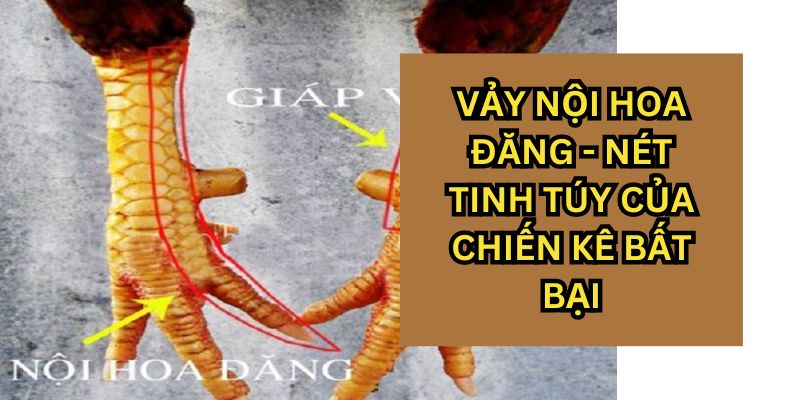 Mẫu vảy nội hoa đăng 