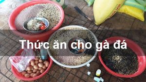 Ngũ cốc và các loại hạt