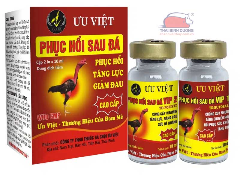 Tầm Quan Trọng Của Thuốc Tăng Lực Cho Gà Chọi